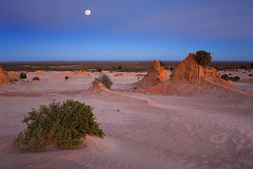 Image showing Desert landscape at dawn