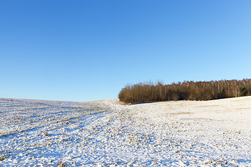 Image showing landscape in winter