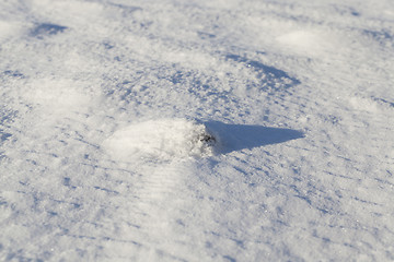 Image showing snow covered surface