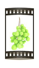 Image showing Healthy fruits Green wine grapes isolated white background. Bunc