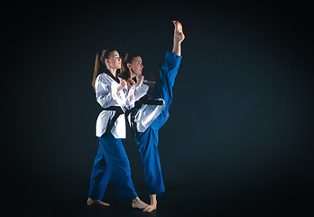 Image showing The karate girl with black belt