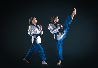 Image showing The karate girl with black belt