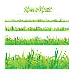 Image showing Green grass of different heights