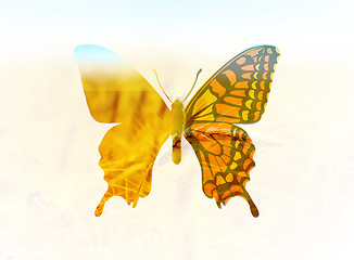 Image showing Vector illustration of a butterfly in the style of double exposure. Greetings to spring or summer