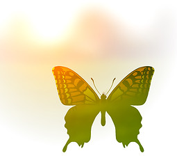 Image showing Vector illustration of a butterfly in the style of double exposure. Greetings to spring or summer