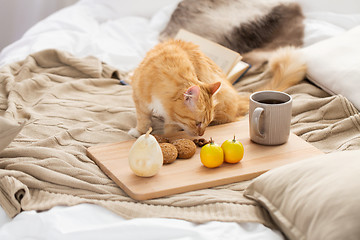 Image showing red tabby cat sniffing food on bed at home