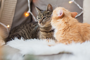 Image showing two cats lying on sofa with sheepskin at home