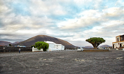 Image showing Vineyards in La Geria, Lanzarote Island