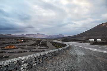 Image showing Vineyards in La Geria, Lanzarote Island