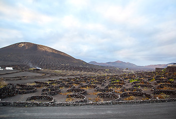 Image showing Vineyards in La Geria, Lanzarote Island