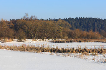 Image showing Beautiful winter rural landscape with pond