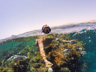 Image showing Snorkel swims in shallow water, Red Sea, Egypt Safaga