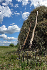 Image showing Stack of hay