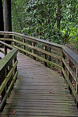 Image showing Wooden Pathway