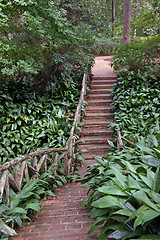 Image showing Brick Pathway