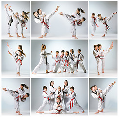 Image showing The studio shot of group of kids training karate martial arts