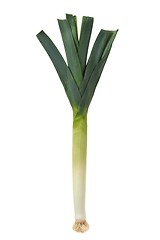 Image showing Leek on White