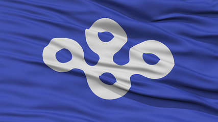 Image showing Closeup Osaka Japan Prefecture Flag