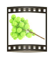 Image showing Healthy fruits Green wine grapes isolated white background. Bunc