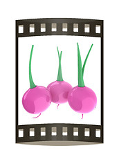 Image showing Small garden radish isolated on white background. 3d illustratio