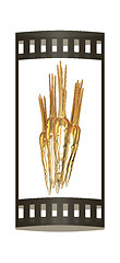 Image showing Gold Carrots. 3d illustration. The film strip.