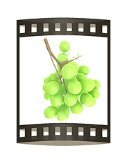 Image showing Healthy fruits Green wine grapes isolated white background. Bunc