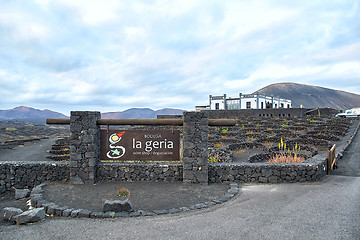 Image showing Vineyards in La Geria, Lanzarote Island