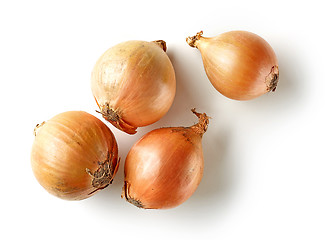 Image showing fresh raw onions