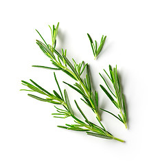 Image showing fresh raw rosemary