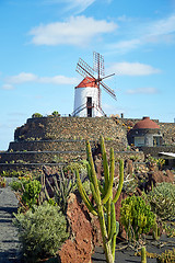 Image showing Cactus garden Jardin de Cactus in Lanzarote Island