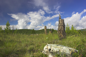 Image showing summer landscape