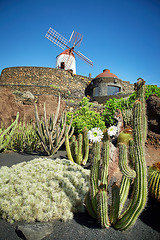 Image showing Cactus garden Jardin de Cactus in Lanzarote Island