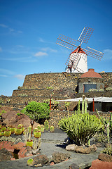 Image showing Cactus garden Jardin de Cactus in Lanzarote Island