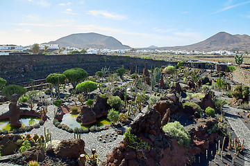 Image showing Cactus garden Jardin de Cactus in Lanzarote Island