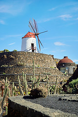 Image showing Cactus garden Jardin de Cactus in Lanzarote Island