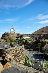 Image showing Cactus garden Jardin de Cactus in Lanzarote Island