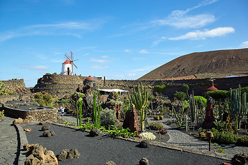 Image showing Cactus garden Jardin de Cactus in Lanzarote Island