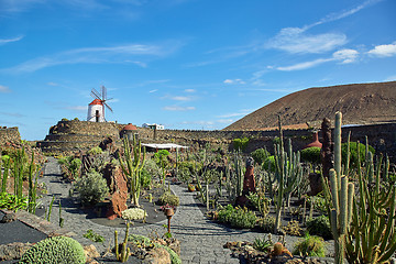 Image showing Cactus garden Jardin de Cactus in Lanzarote Island