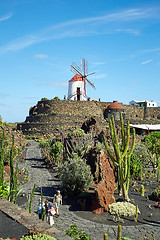 Image showing Cactus garden Jardin de Cactus in Lanzarote Island