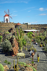 Image showing Cactus garden Jardin de Cactus in Lanzarote Island
