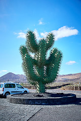 Image showing Cactus garden Jardin de Cactus in Lanzarote Island