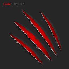 Image showing Scratch Claws of Animal
