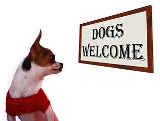 Image showing Dogs Allowed Sign Showing Doggie Friendly Hotel