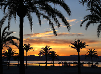 Image showing Beautiful sunset on the beach