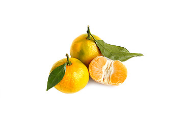 Image showing Tangerines on a white