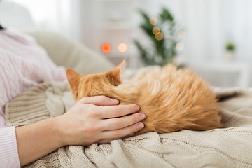 Image showing close up of owner with red cat in bed at home