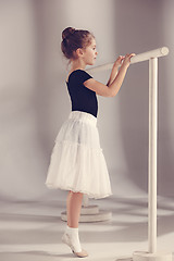 Image showing The little balerina dancer on gray background