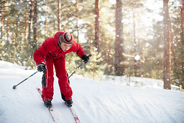 Image showing skiing in the forest