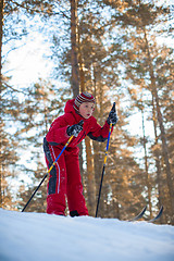 Image showing skiing in the forest