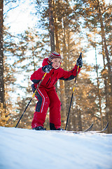 Image showing skiing in the forest